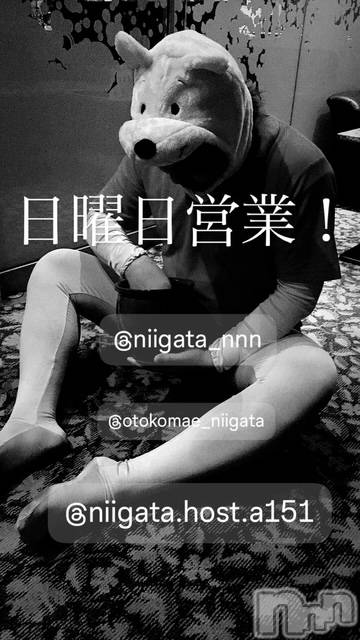 ��Į�ۥ��ȡ��ܡ������С�A151(�����������ݥ���) �褦��7��13���̥�֥�������������