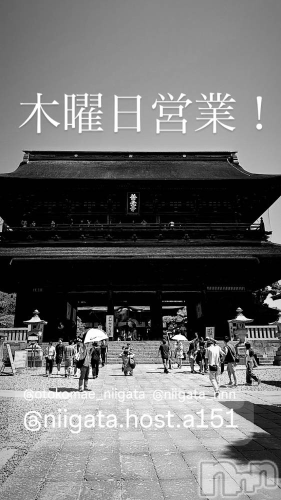 ��Į�ۥ��ȡ��ܡ������С�A151(�����������ݥ���) �褦��7��24���̥�֥�������������