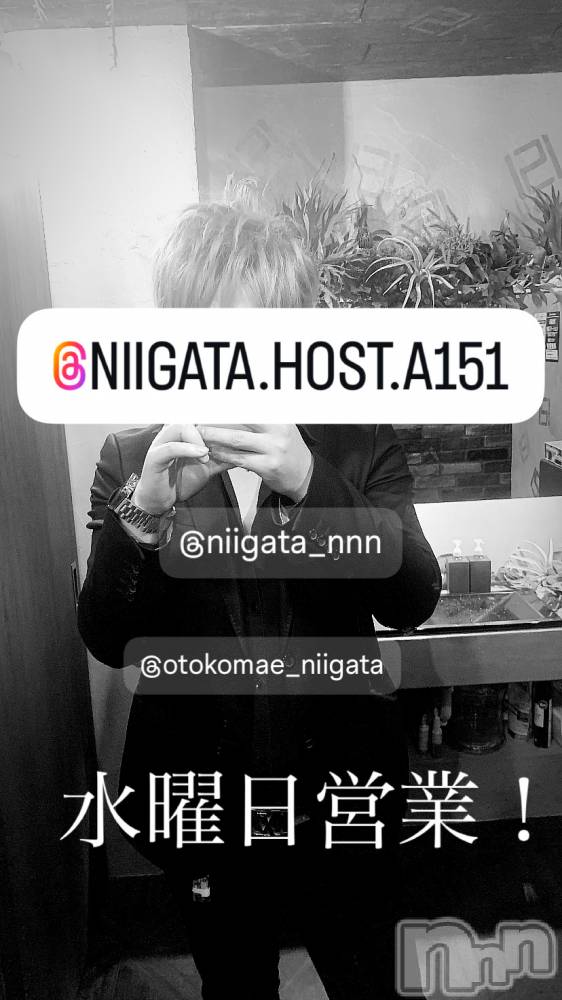 ��Į�ۥ��ȡ��ܡ������С�A151(�����������ݥ���) �褦��8��6���̥�֥����ֿ�������