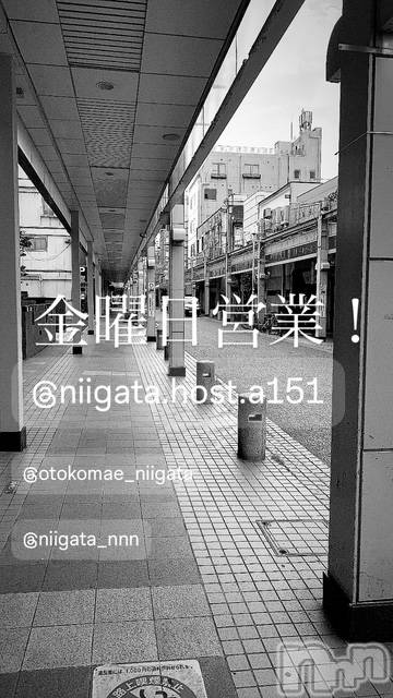 ��Į�ۥ��ȡ��ܡ������С�A151(�����������ݥ���) �褦��8��8���̥�֥����ֶ�������