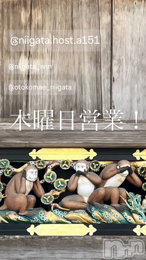 ��Į�ۥ��ȡ��ܡ������С�A151(�����������ݥ���) �褦��8��21���̥�֥�������������