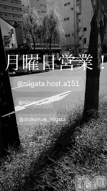 ��Į�ۥ��ȡ��ܡ������С�A151(�����������ݥ���) �褦��8��25���̥�֥����ַ�������