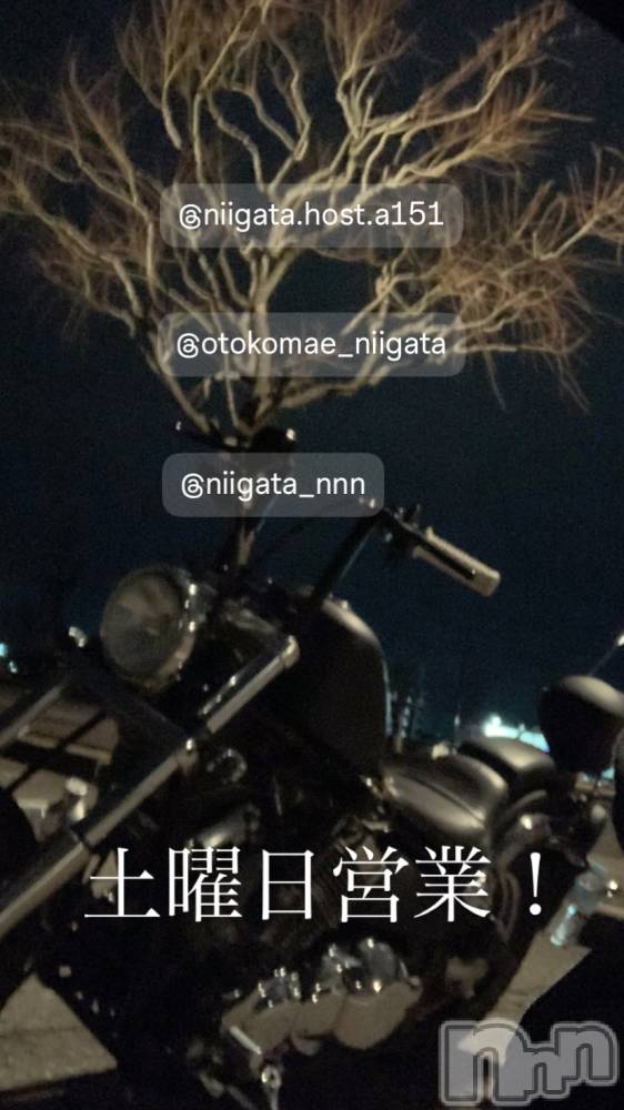 ��Į�ۥ��ȡ��ܡ������С�A151(�����������ݥ���) �褦��8��30���̥�֥�������������