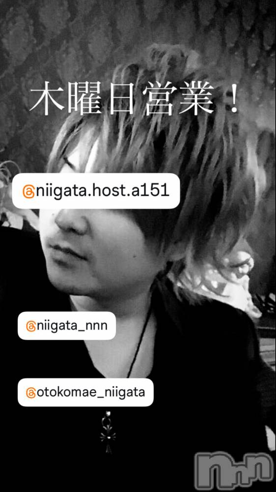 ��Į�ۥ��ȡ��ܡ������С�A151(�����������ݥ���) �褦��9��4���̥�֥�������������