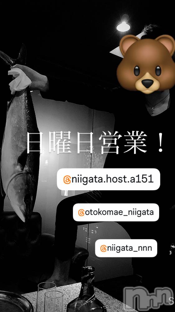 ��Į�ۥ��ȡ��ܡ������С�A151(�����������ݥ���) �褦��9��7���̥�֥�������������