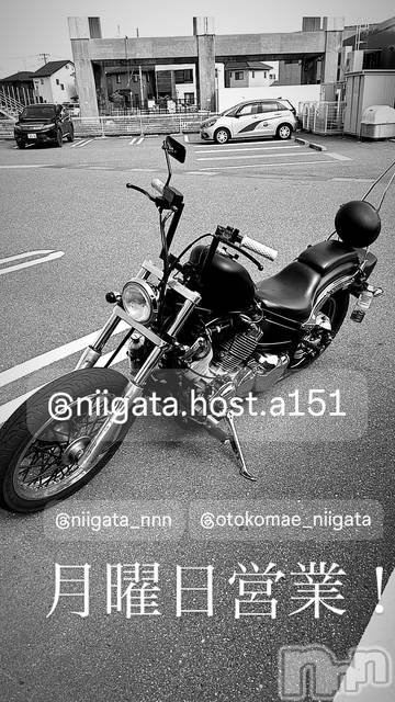 ��Į�ۥ��ȡ��ܡ������С�A151(�����������ݥ���) �褦��9��8���̥�֥����ַ�������