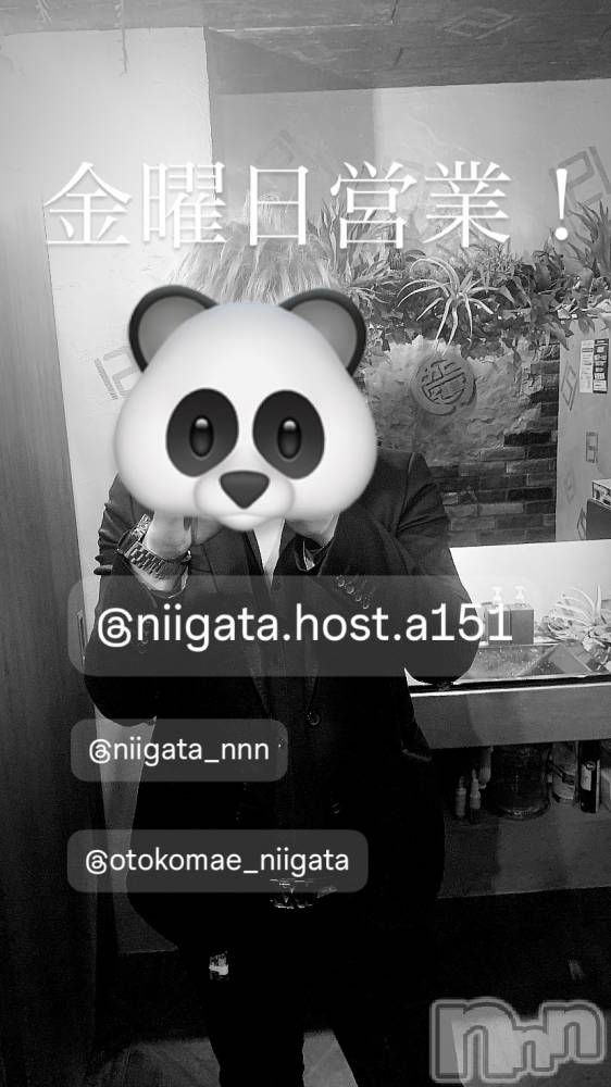 ��Į�ۥ��ȡ��ܡ������С�A151(�����������ݥ���) �褦��9��19���̥�֥����ֶ�������