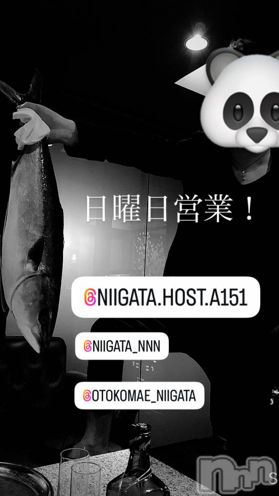 ��Į�ۥ��ȡ��ܡ������С�A151(�����������ݥ���) �褦��9��21���̥�֥�������������