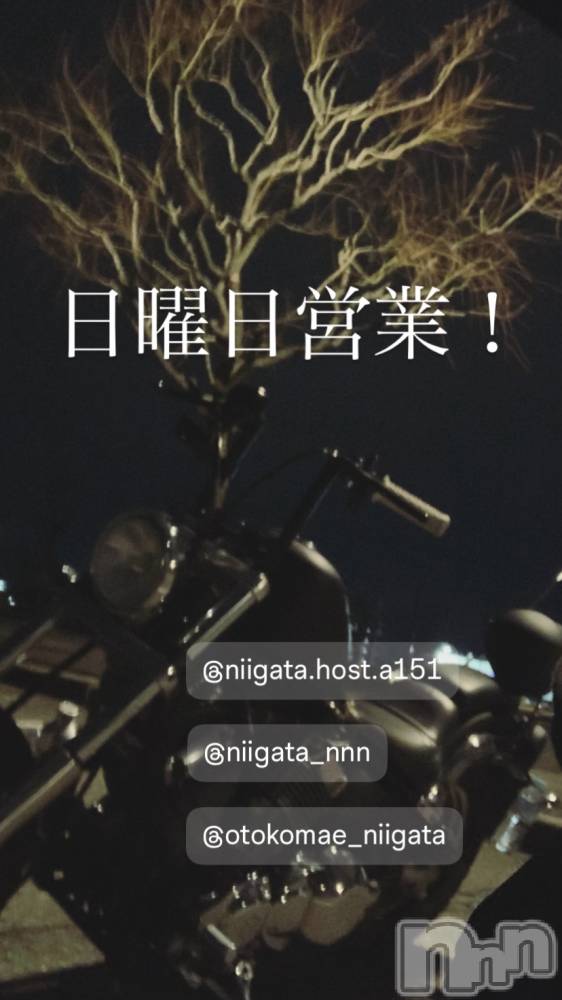 ��Į�ۥ��ȡ��ܡ������С�A151(�����������ݥ���) �褦��9��28���̥�֥�������������