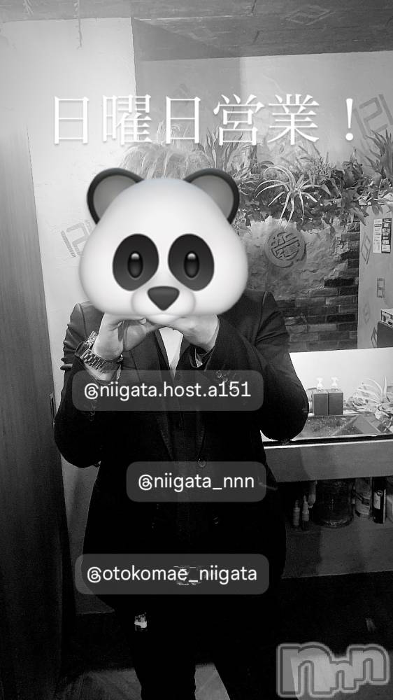 ��Į�ۥ��ȡ��ܡ������С�A151(�����������ݥ���) �褦��10��5���̥�֥�������������