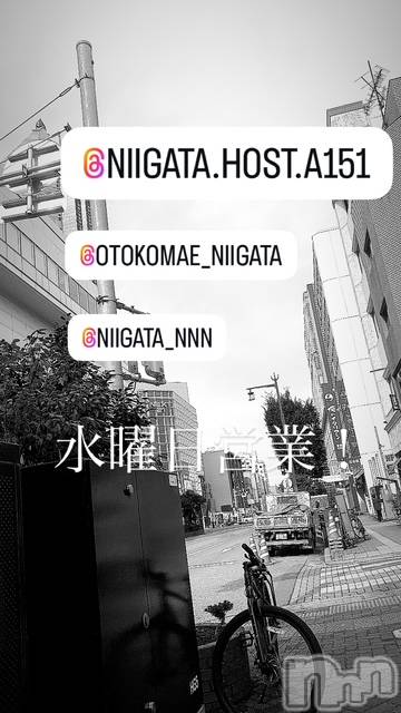 ��Į�ۥ��ȡ��ܡ������С�A151(�����������ݥ���) �褦��10��8���̥�֥����ֿ�������