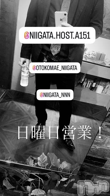 ��Į�ۥ��ȡ��ܡ������С�A151(�����������ݥ���) �褦��10��12���̥�֥�������������