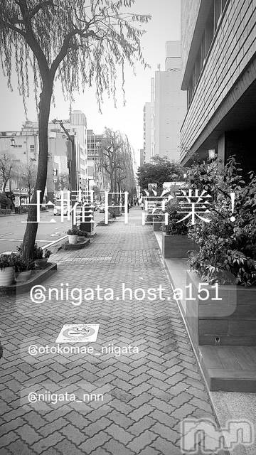 ��Į�ۥ��ȡ��ܡ������С�A151(�����������ݥ���) �褦��10��18���̥�֥�������������