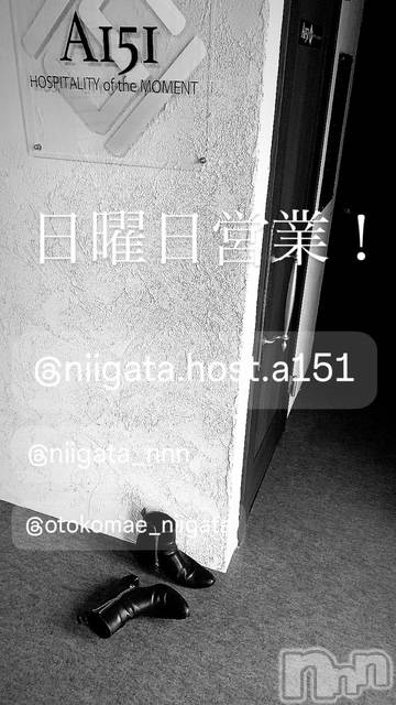 ��Į�ۥ��ȡ��ܡ������С�A151(�����������ݥ���) �褦��10��26���̥�֥�������������