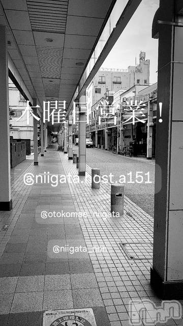 ��Į�ۥ��ȡ��ܡ������С�A151(�����������ݥ���) �褦��10��30���̥�֥�������������