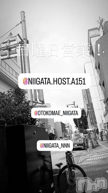 ��Į�ۥ��ȡ��ܡ������С�A151(�����������ݥ���) �褦��11��9���̥�֥�������������