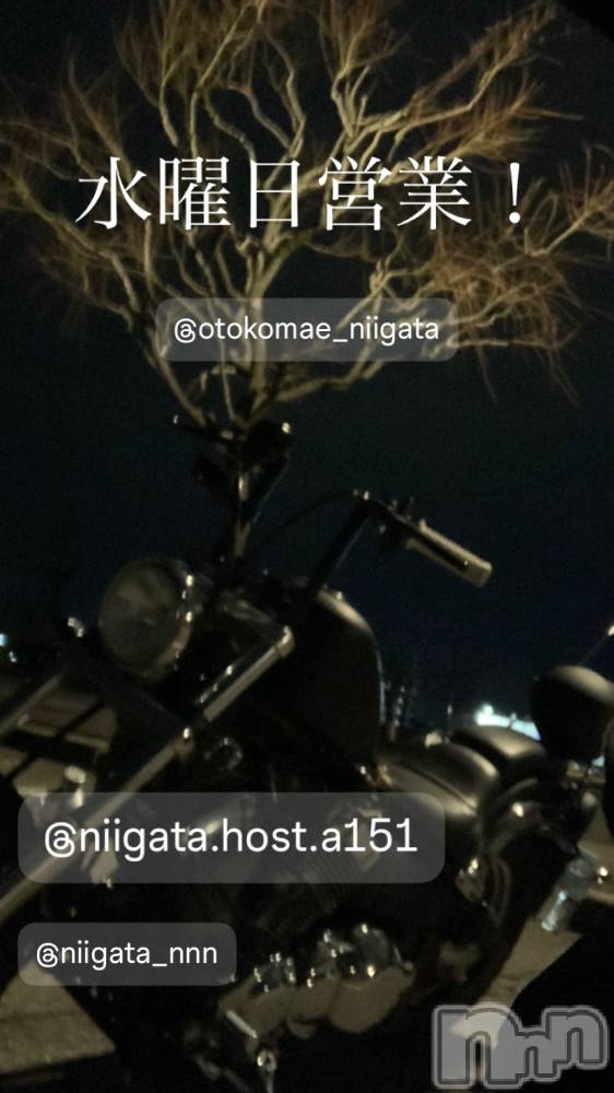 ��Į�ۥ��ȡ��ܡ������С�A151(�����������ݥ���) �褦��11��12���̥�֥����ֿ�������