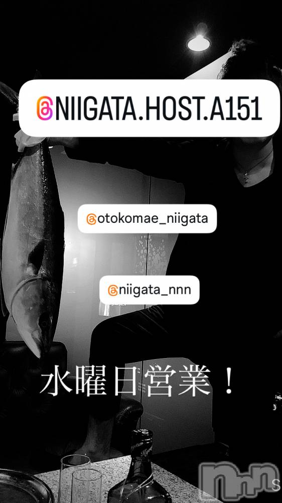 ��Į�ۥ��ȡ��ܡ������С�A151(�����������ݥ���) �褦��11��19���̥�֥����ֿ�������