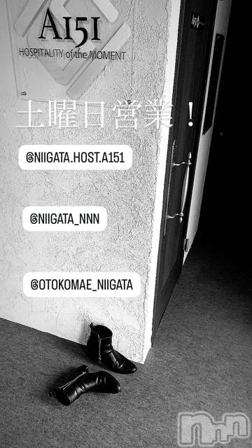 ��Į�ۥ��ȡ��ܡ������С�A151(�����������ݥ���) �褦��11��22���̥�֥�������������