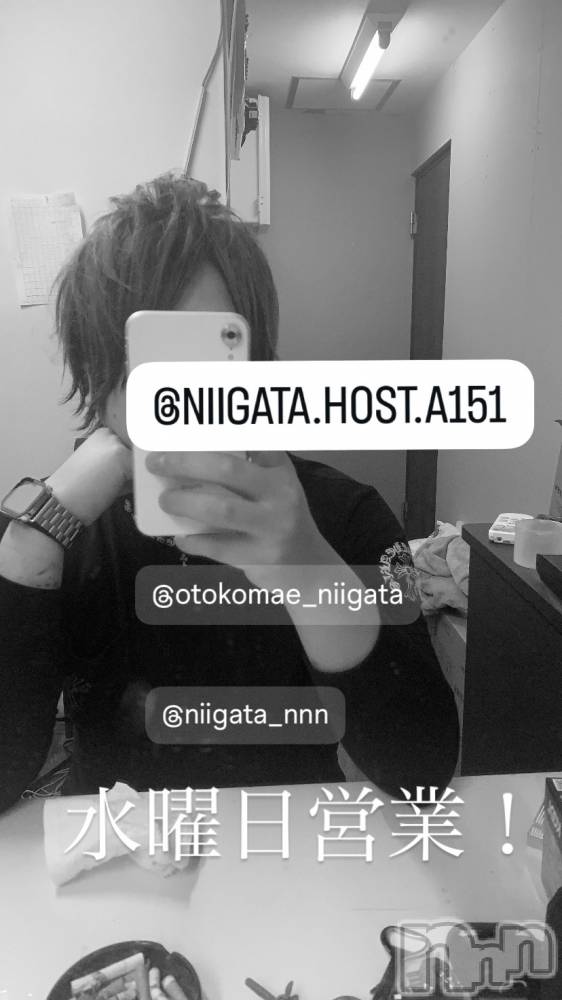 ��Į�ۥ��ȡ��ܡ������С�A151(�����������ݥ���) �褦��11��26���̥�֥����ֿ�������