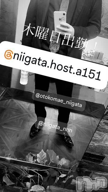 ��Į�ۥ��ȡ��ܡ������С�A151(�����������ݥ���) �褦��11��27���̥�֥�������������