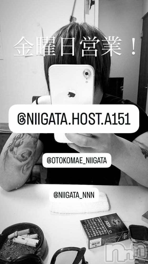 ��Į�ۥ��ȡ��ܡ������С�A151(�����������ݥ���) �褦��11��28���̥�֥����ֶ�������