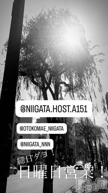 ��Į�ۥ��ȡ��ܡ������С�A151(�����������ݥ���) �褦��11��30���̥�֥�������������