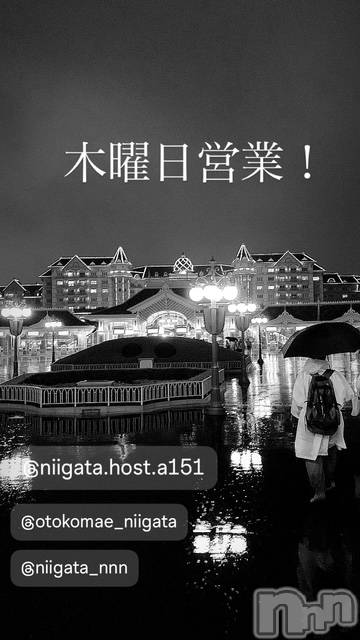 ��Į�ۥ��ȡ��ܡ������С�A151(�����������ݥ���) �褦��12��4���̥�֥�������������