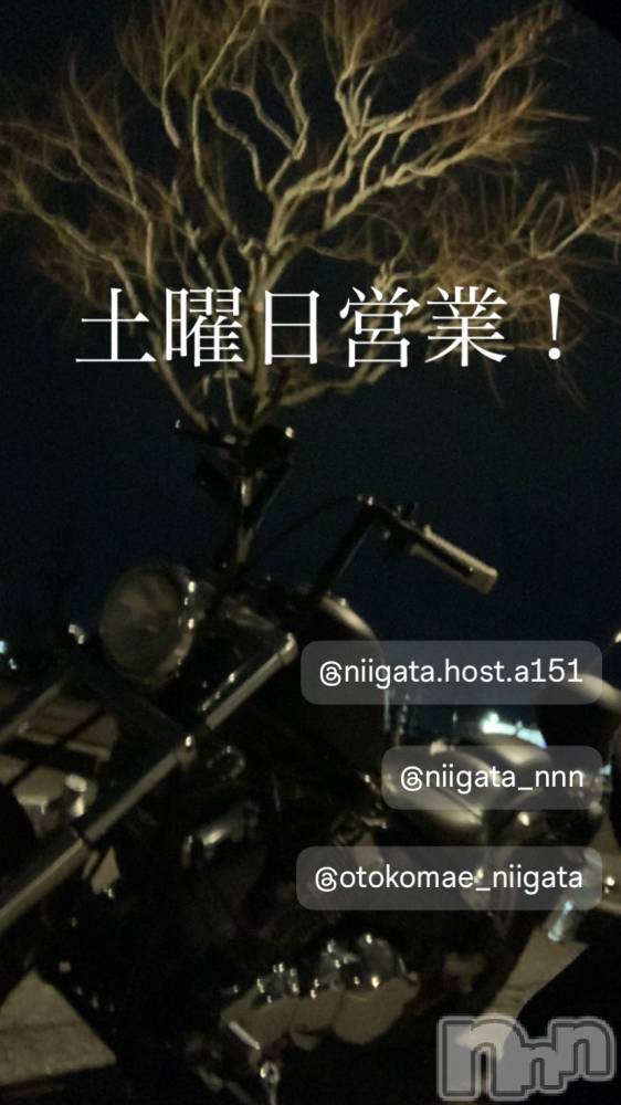 ��Į�ۥ��ȡ��ܡ������С�A151(�����������ݥ���) �褦��12��6���̥�֥�������������