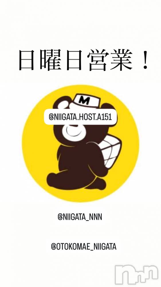 ��Į�ۥ��ȡ��ܡ������С�A151(�����������ݥ���) �褦��12��7���̥�֥�������������