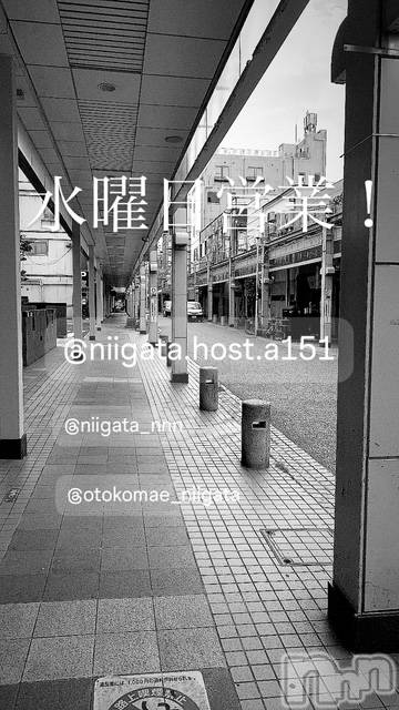 ��Į�ۥ��ȡ��ܡ������С�A151(�����������ݥ���) �褦��12��10���̥�֥����ֿ�������