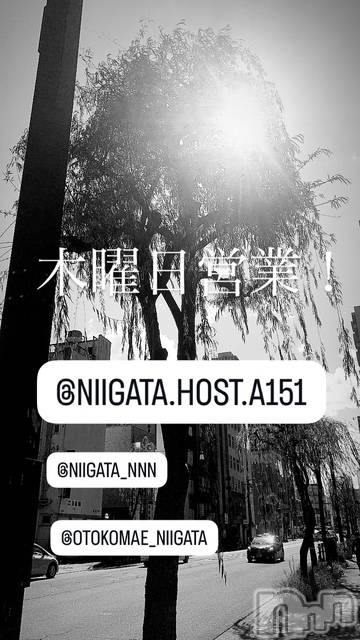 ��Į�ۥ��ȡ��ܡ������С�A151(�����������ݥ���) �褦��12��11���̥�֥�������������