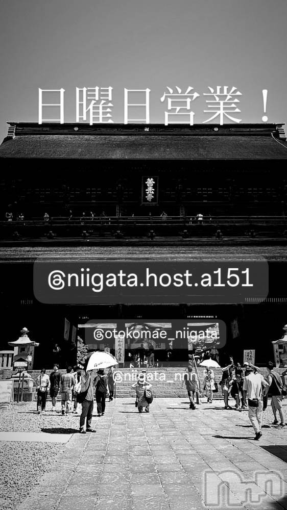 ��Į�ۥ��ȡ��ܡ������С�A151(�����������ݥ���) �褦��12��14���̥�֥�������������