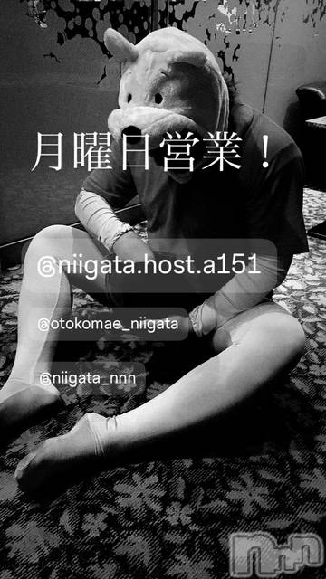 ��Į�ۥ��ȡ��ܡ������С�A151(�����������ݥ���) �褦��12��15���̥�֥����ַ�������