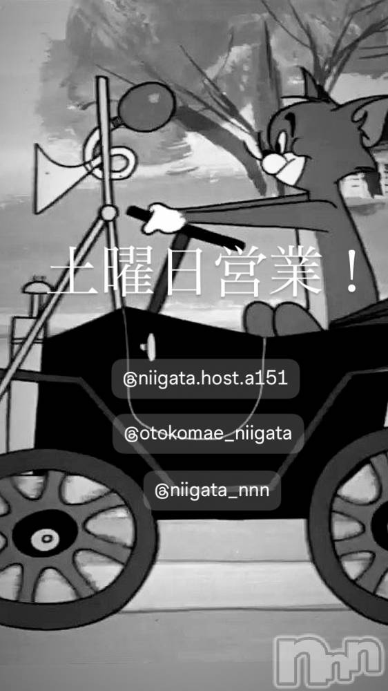 ��Į�ۥ��ȡ��ܡ������С�A151(�����������ݥ���) �褦��12��20���̥�֥�������������