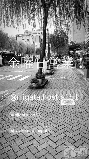 ��Į�ۥ��ȡ��ܡ������С�A151(�����������ݥ���) �褦��12��26���̥�֥����ֶ�������