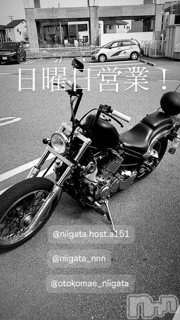 ��Į�ۥ��ȡ��ܡ������С�A151(�����������ݥ���) �褦��12��28���̥�֥�������������