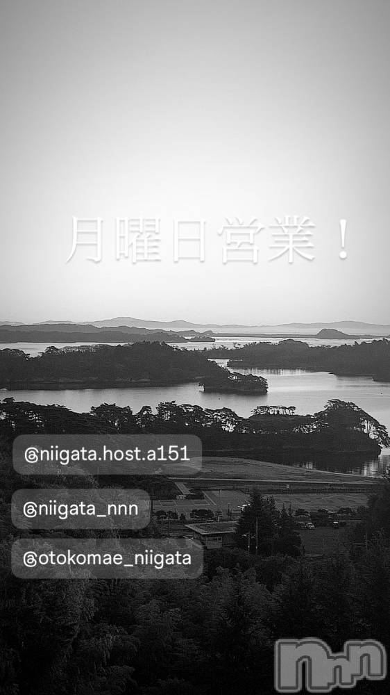 ��Į�ۥ��ȡ��ܡ������С�A151(�����������ݥ���) �褦��1��5���̥�֥����ַ�������