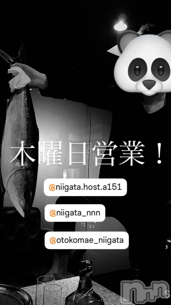 ��Į�ۥ��ȡ��ܡ������С�A151(�����������ݥ���) �褦��1��8���̥�֥�������������