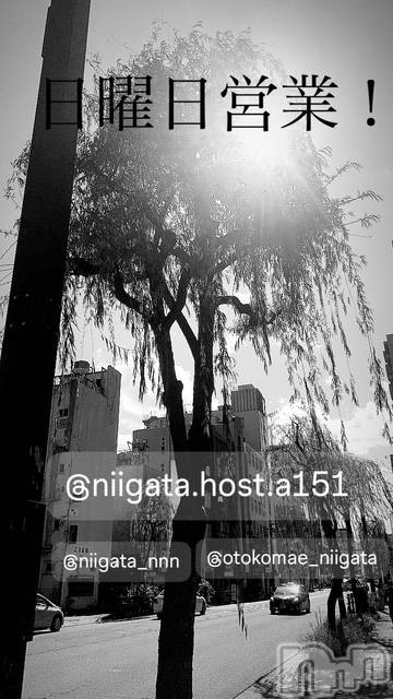 ��Į�ۥ��ȡ��ܡ������С�A151(�����������ݥ���) �褦��1��11���̥�֥�������������