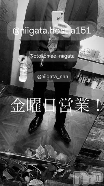 ��Į�ۥ��ȡ��ܡ������С�A151(�����������ݥ���) �褦��1��16���̥�֥����ֶ�������