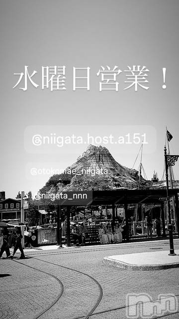 ��Į�ۥ��ȡ��ܡ������С�A151(�����������ݥ���) �褦��1��21���̥�֥����ֿ�������