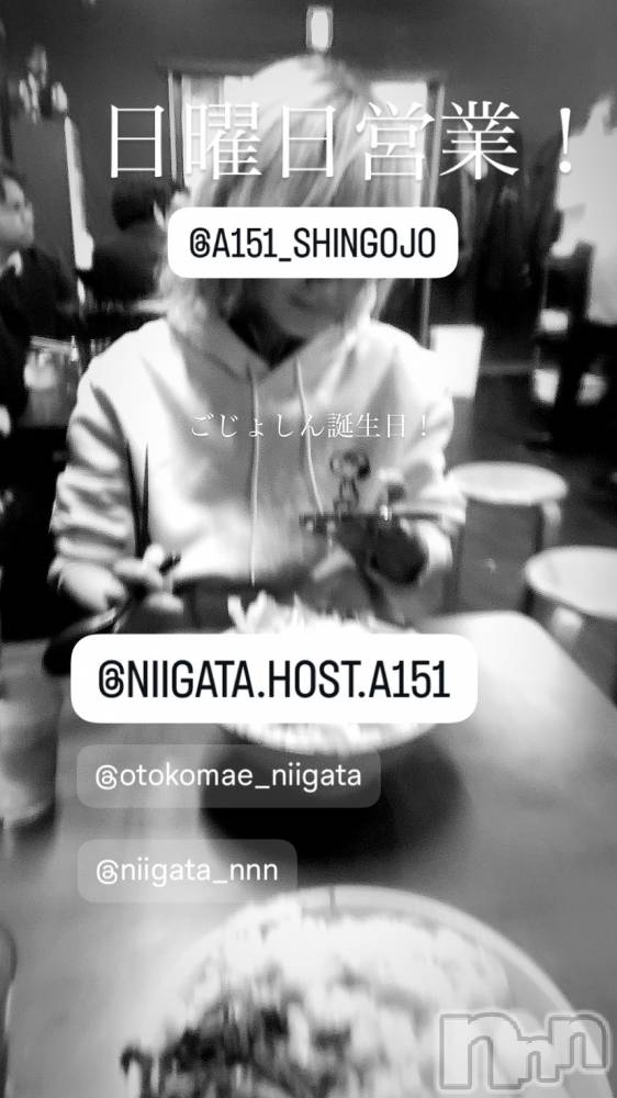 ��Į�ۥ��ȡ��ܡ������С�A151(�����������ݥ���) �褦��1��25���̥�֥�������������