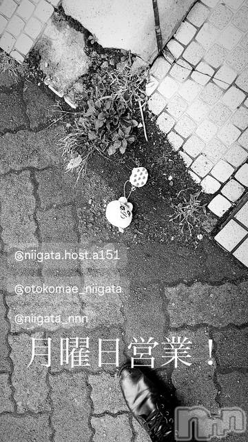 ��Į�ۥ��ȡ��ܡ������С�A151(�����������ݥ���) �褦��1��26���̥�֥����ַ�������