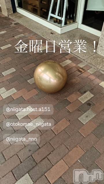 ��Į�ۥ��ȡ��ܡ������С�A151(�����������ݥ���) �褦��1��30���̥�֥����ֶ�������