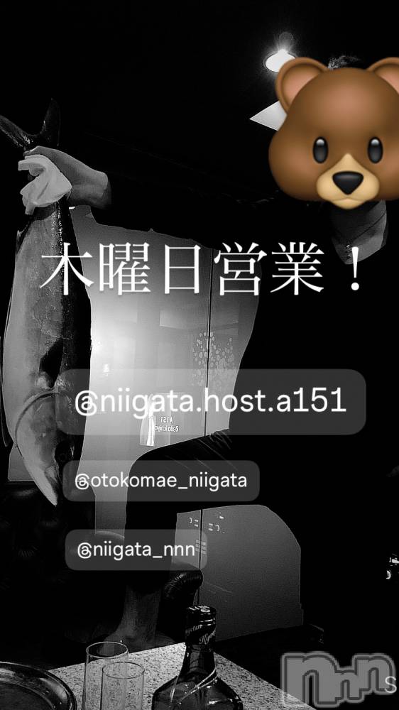 ��Į�ۥ��ȡ��ܡ������С�A151(�����������ݥ���) �褦��2��5���̥�֥�������������