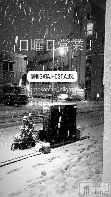 ��Į�ۥ��ȡ��ܡ������С�A151(�����������ݥ���) �褦��2��8���̥�֥�������������