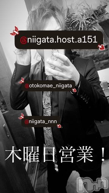 ��Į�ۥ��ȡ��ܡ������С�A151(�����������ݥ���) �褦��2��12���̥�֥�������������