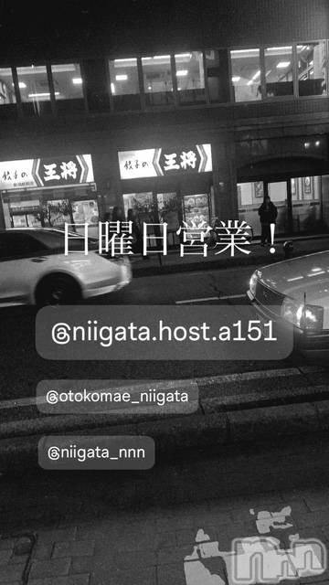 ��Į�ۥ��ȡ��ܡ������С�A151(�����������ݥ���) �褦��2��22���̥�֥�������������