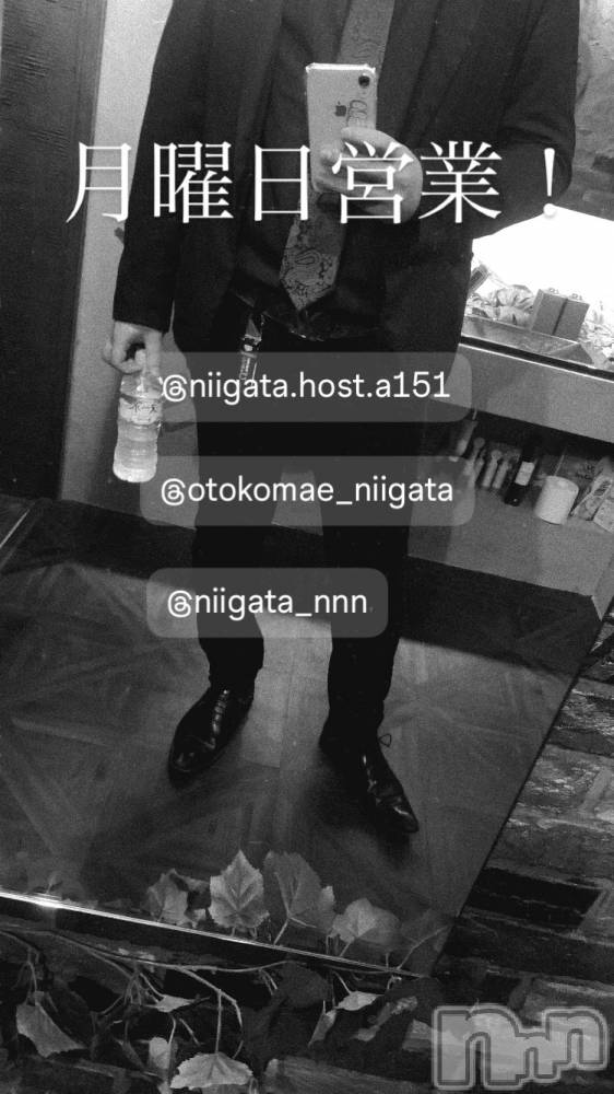 ��Į�ۥ��ȡ��ܡ������С�A151(�����������ݥ���) �褦��3��16���̥�֥����ַ�������